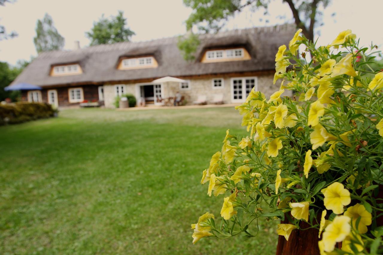 Metsara B & B Tornimae ภายนอก รูปภาพ